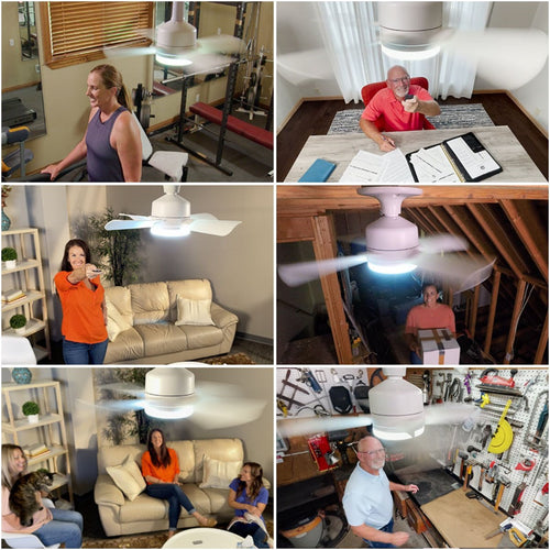 IlluminatedFan 2-in-1 Ceiling Fan & LED Light