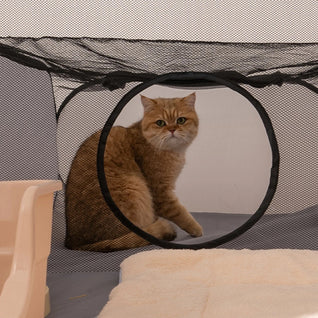 CatPlaypen Foldable Cat Playpen Tent