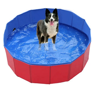 PawPool Foldable Dog Paddling Pool