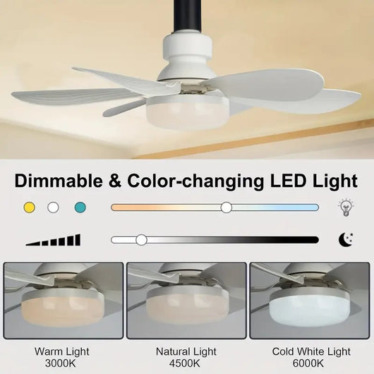 IlluminatedFan 2-in-1 Ceiling Fan & LED Light